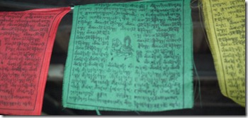 Tibetan prayer flags. Photo by Nic Freeman