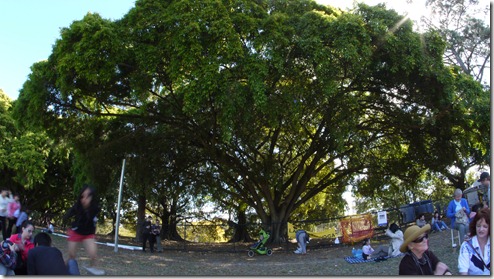West End Markets. Photo by Nic Freeman