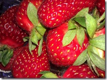 West End Markets, Davies Park Brisbane