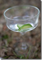 Tonic and cucumber - mmmm 