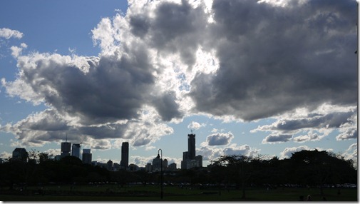 The view of Brisbane City from New Farm Park