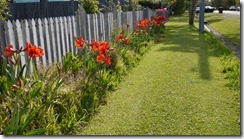 Mullumbimby on Monday afternoon