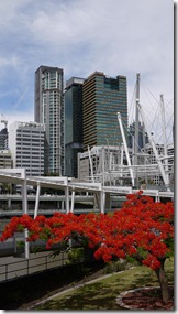 From Kurilpa Bridge Brisbane