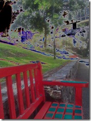 Red bench King Edward Park Brisbane