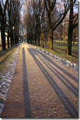 Vigeland Park in Frognerparken, Oslo, Norway