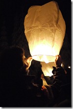 Lanterns in the pine forest Norway