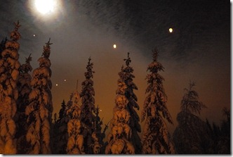 Lanterns in the pine forest Norway