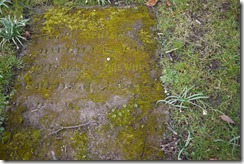 Moss head stone - Stratford-Upon-Avon, England, UK