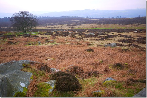 The Peaks District, England, UK
