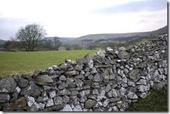 Field and stone wall in Yorkshire Dales National Park, England, UK
