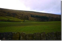 Field in Yorkshire Dales National Park, England, UK
