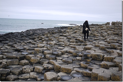 The Giant's Causeway, Causeway Coast, Northern Ireland UK
