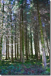 Talybont Reservoir waterfall walk Brecon Beacons National Park, Wales