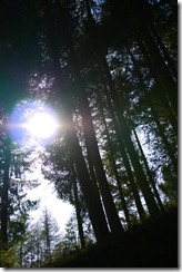 Talybont Reservoir waterfall walk Brecon Beacons National Park, Wales