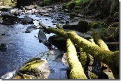 Talybont Reservoir waterfall walk Brecon Beacons National Park, Wales