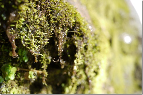 Talybont Reservoir waterfall walk Brecon Beacons National Park, Wales
