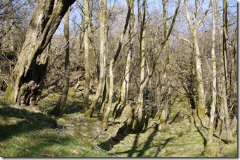 Talybont Reservoir waterfall walk Brecon Beacons National Park, Wales