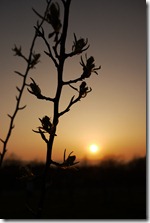  Brecon Beacons National Park, Wales