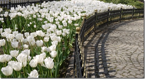 Istanbul, Turkey photo walk
