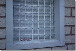 Istanbul, Turkey photo walk