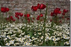 Istanbul, Turkey photo walk