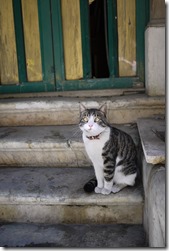 Istanbul, Turkey photo walk