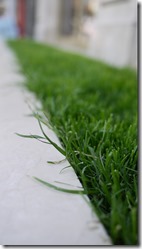 Istanbul, Turkey photo walk