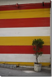 Istanbul, Turkey photo walk