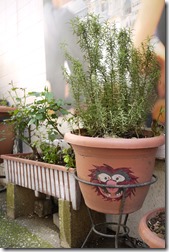 Istanbul, Turkey photo walk