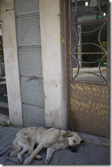 Istanbul, Turkey photo walk