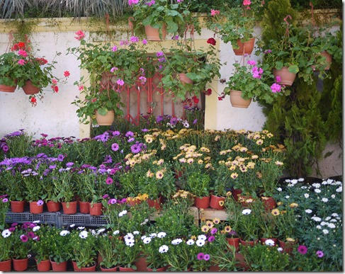 Heybeliada  - The Princes' Islands Istanbul Turkey