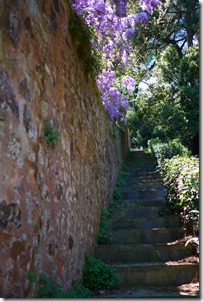 Heybeliada  - The Princes' Islands Istanbul Turkey