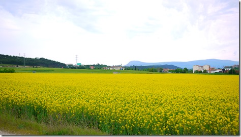 Camino de Santiago Spain - day 1 from Pamplona