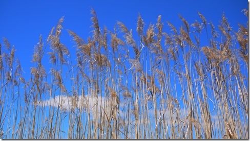 Camino de Santiago - day 2