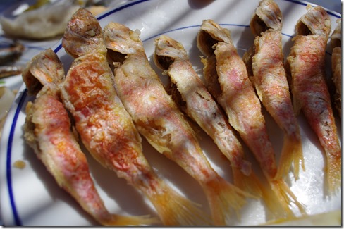 Little red mullet- Seafood on the Mediterranean - Spain Andalusia
