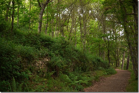 Walking Camino de Santiago from Sarria, Spain