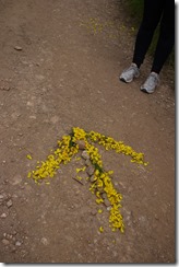 Walking Camino de Santiago from Sarria, Spain - making arrows 