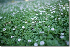 Alhambra, Granada, Spain. 