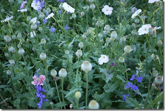 Alhambra, Granada, Spain. 