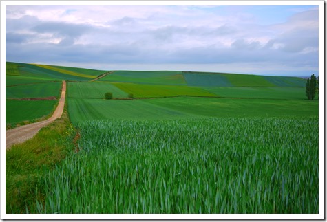 Walking the Camino de Santiago, Spain