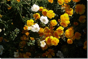 Alhambra Granada Spain