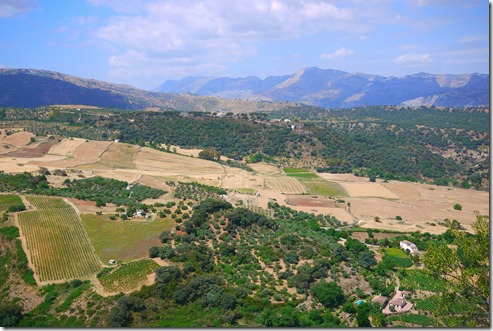 A view from Ronda, Spain