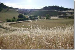 Walking rural Ronda, Spain