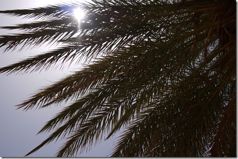 Sahara Desert, Morocco