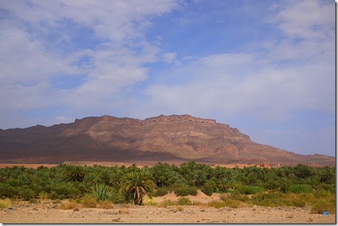 An oasis on the way to the Sahara Desert, Morocco
