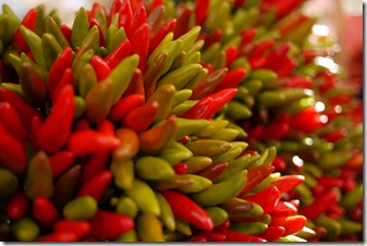 Travel food photo Italy - Venice