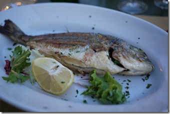Travel food photo Italy - Venice
