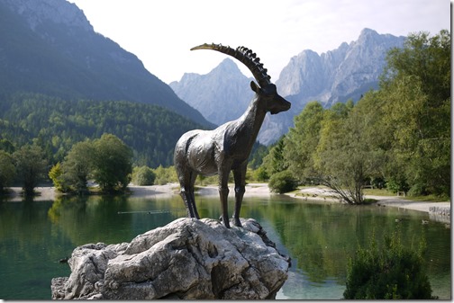 Gold horn goat at Jasna Lake Triglav National Park, Bled, Slovenia
