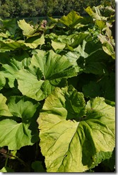 Plitvice Lakes National Park Croatia