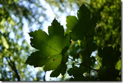Plitvice Lakes National Park Croatia